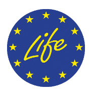 life001