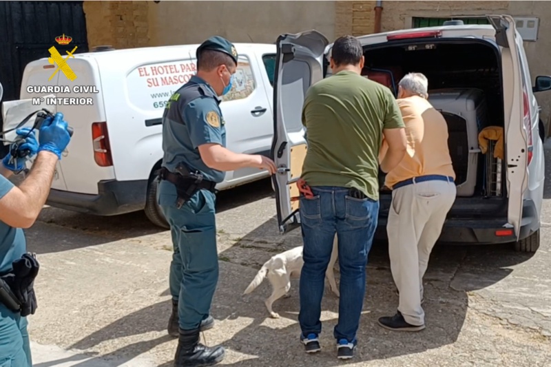 Desmantelada una falsa protectora por abandono y maltrato animal